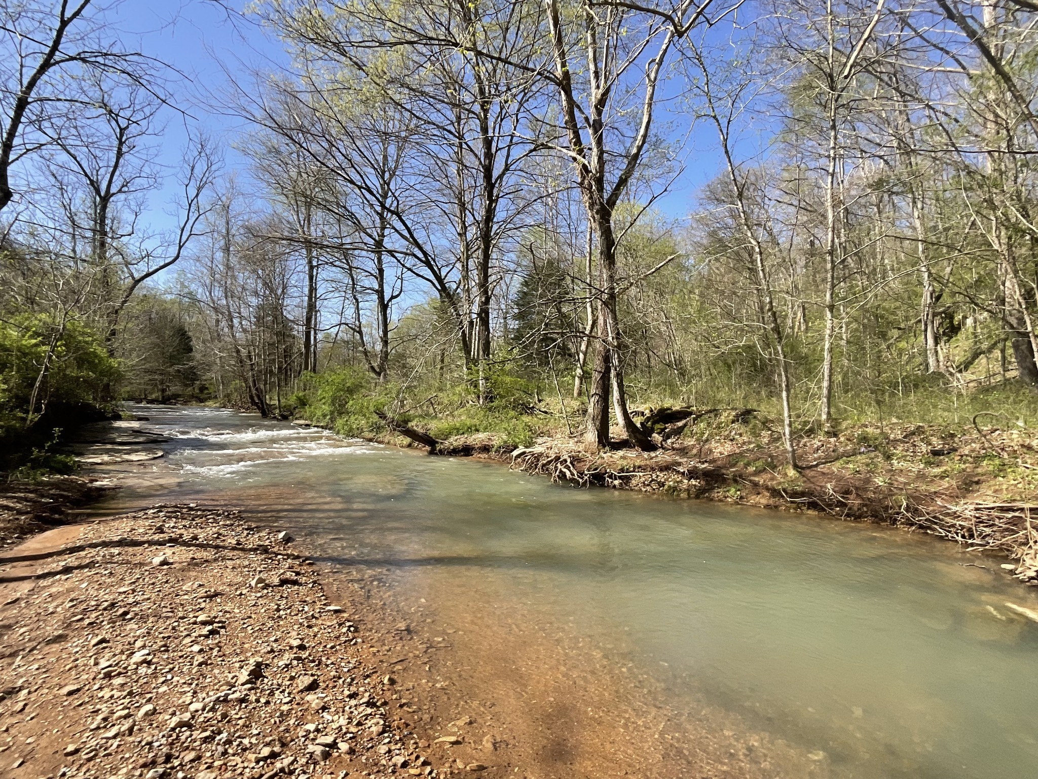 3712 Budds Creek Road Palmyra, TN 37142 - Photo 70 of 100