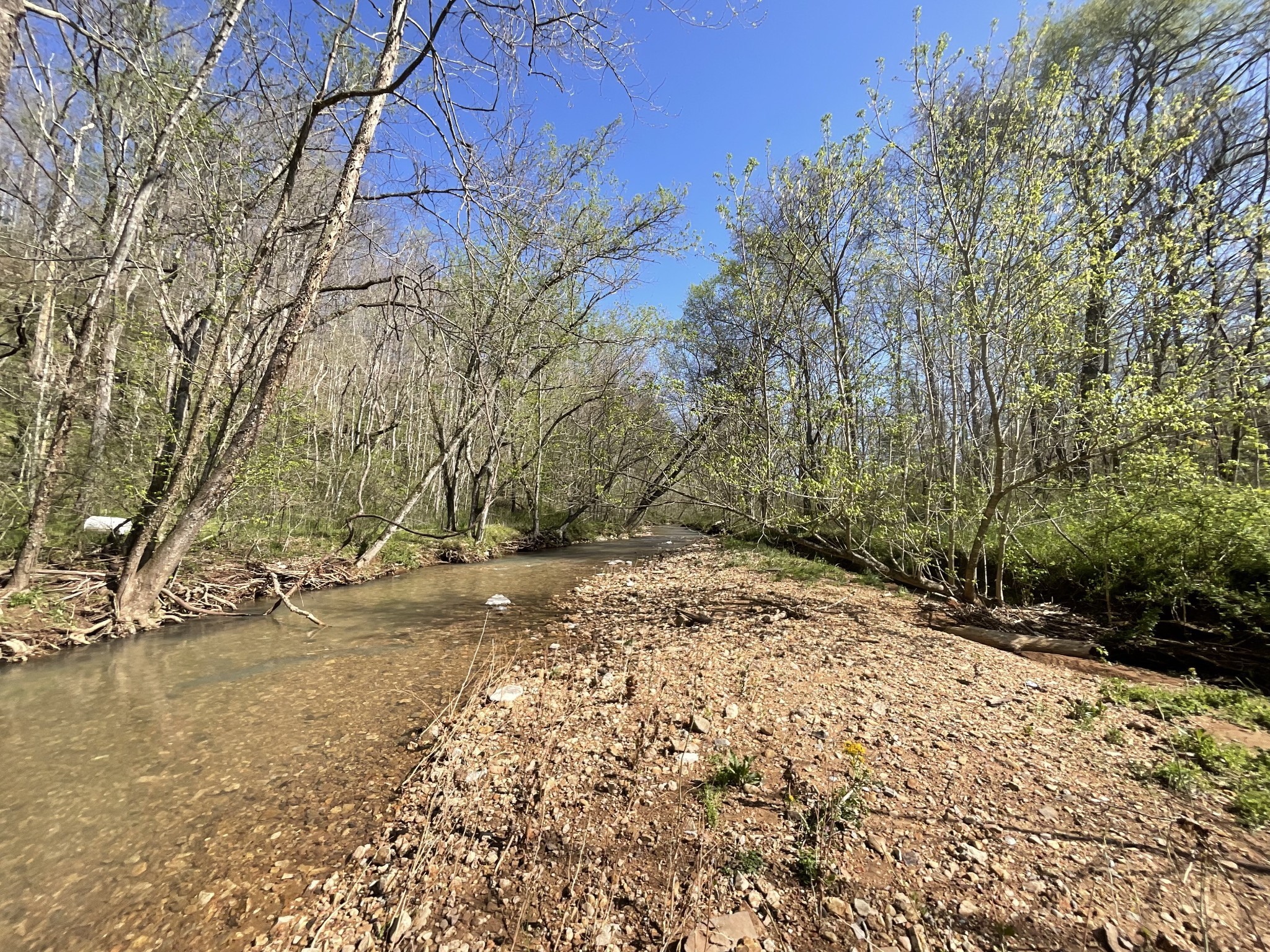 3712 Budds Creek Road Palmyra, TN 37142 - Photo 71 of 100