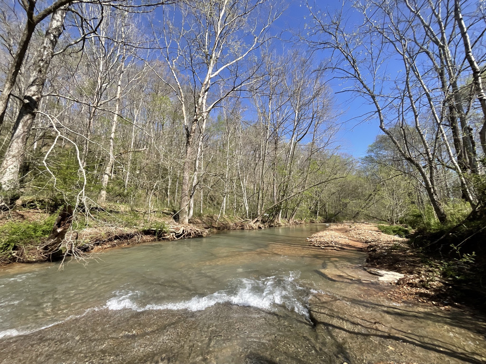 3712 Budds Creek Road Palmyra, TN 37142 - Photo 72 of 100