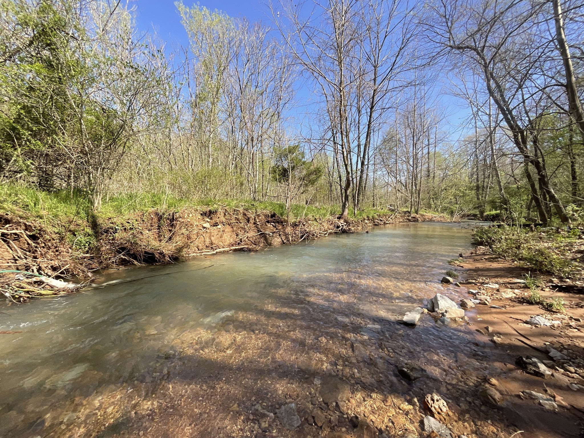 3712 Budds Creek Road Palmyra, TN 37142 - Photo 75 of 100