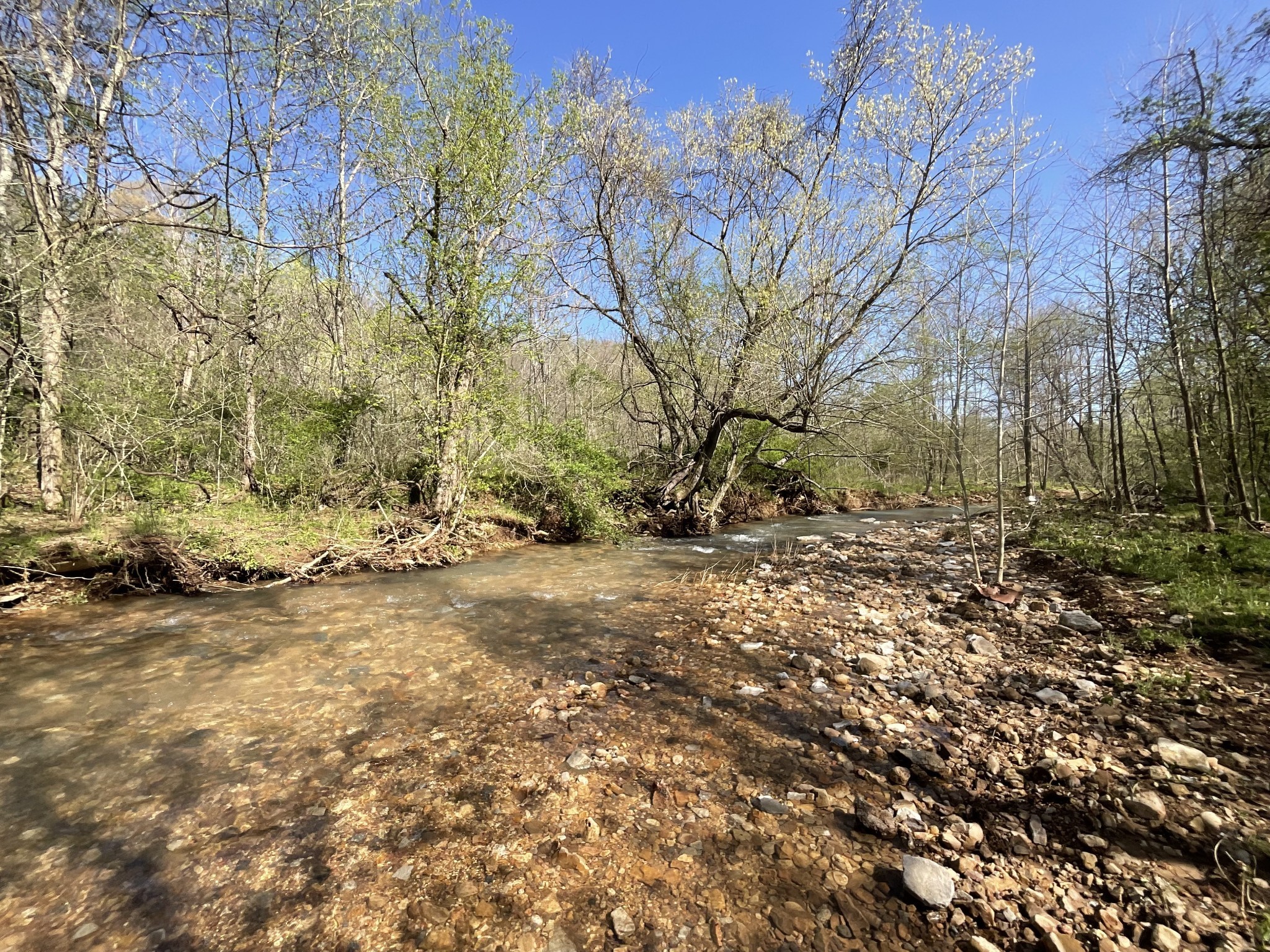 3712 Budds Creek Road Palmyra, TN 37142 - Photo 79 of 100