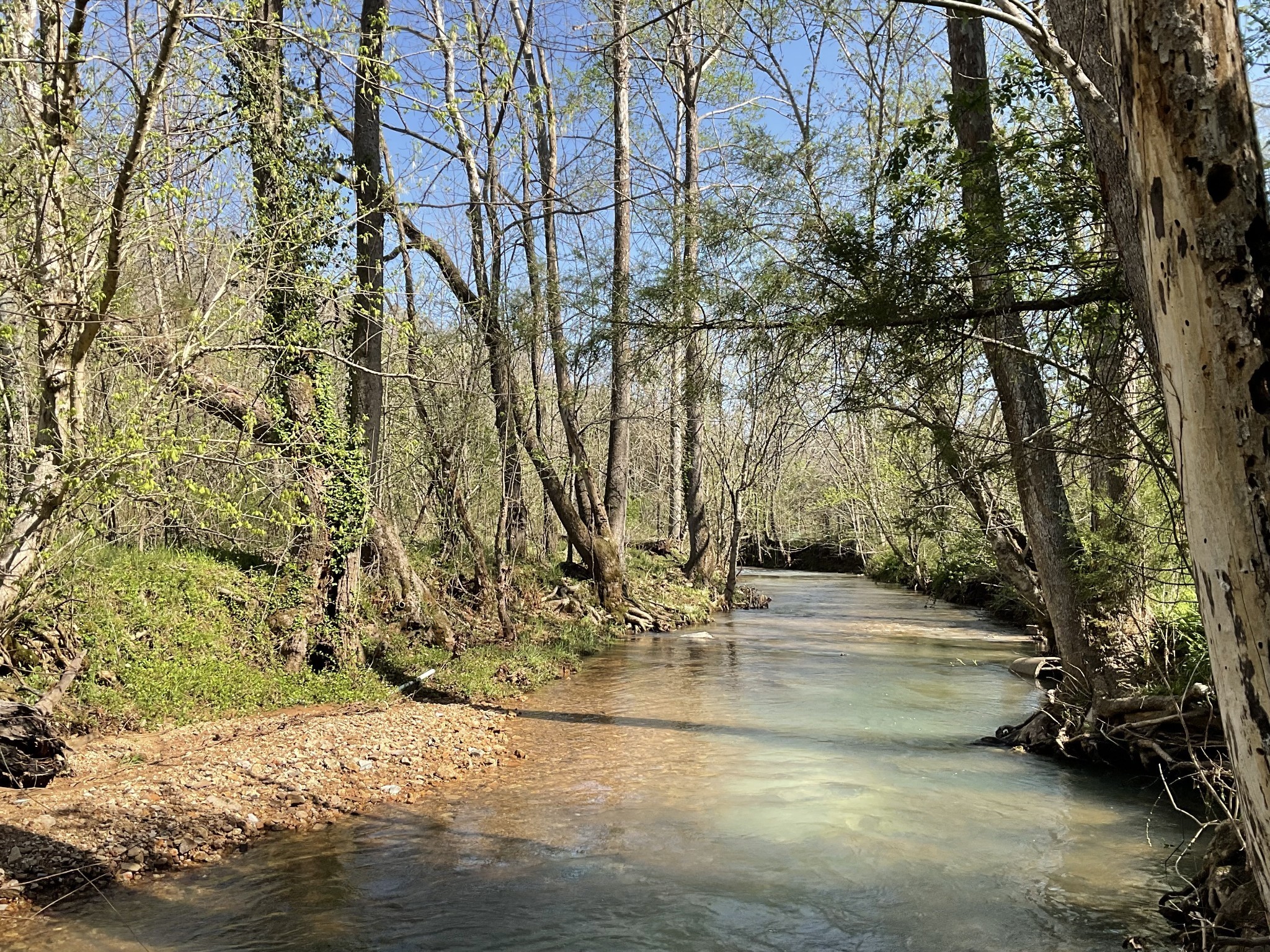 3712 Budds Creek Road Palmyra, TN 37142 - Photo 80 of 100