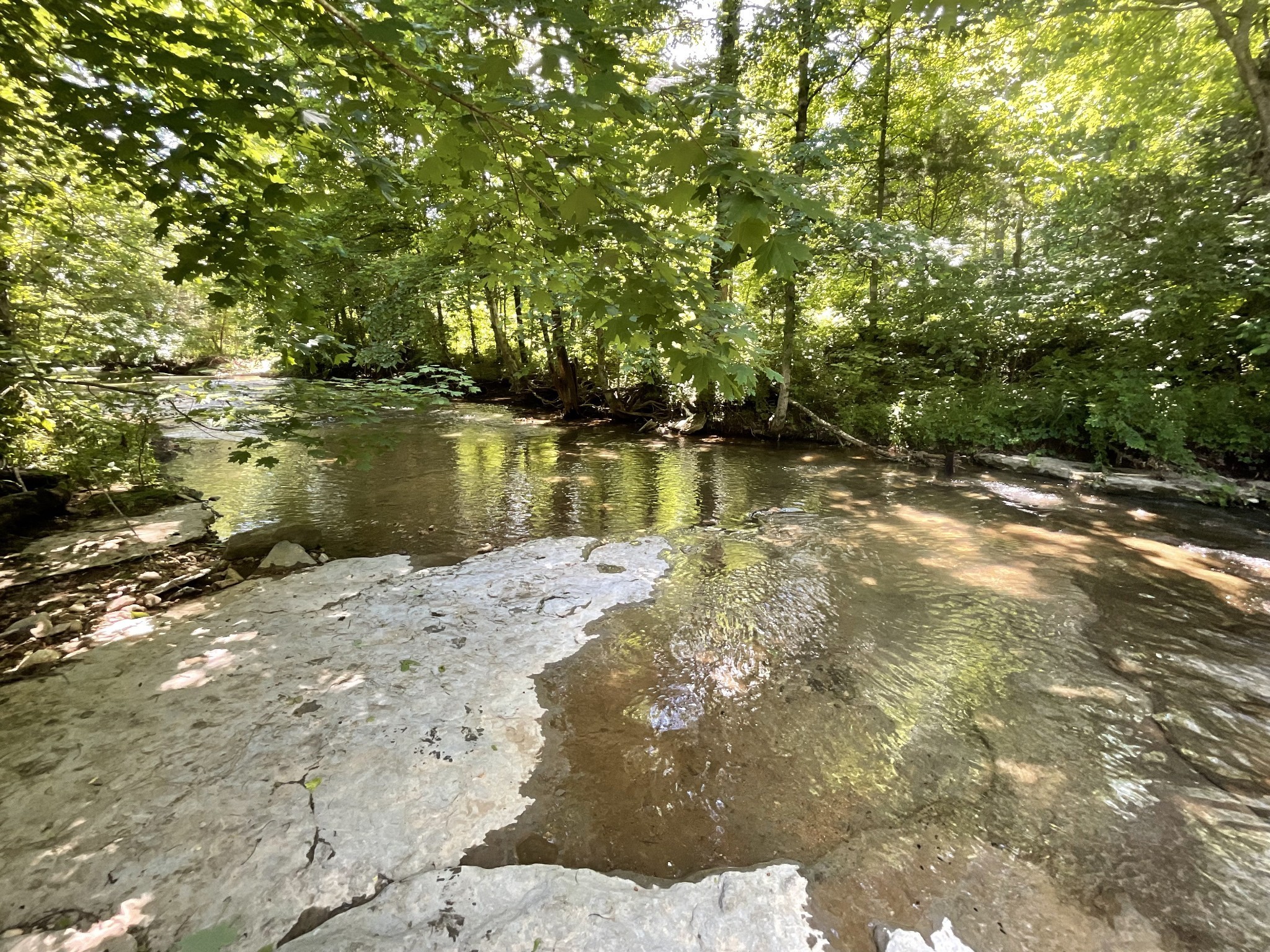 3712 Budds Creek Road Palmyra, TN 37142 - Photo 81 of 100