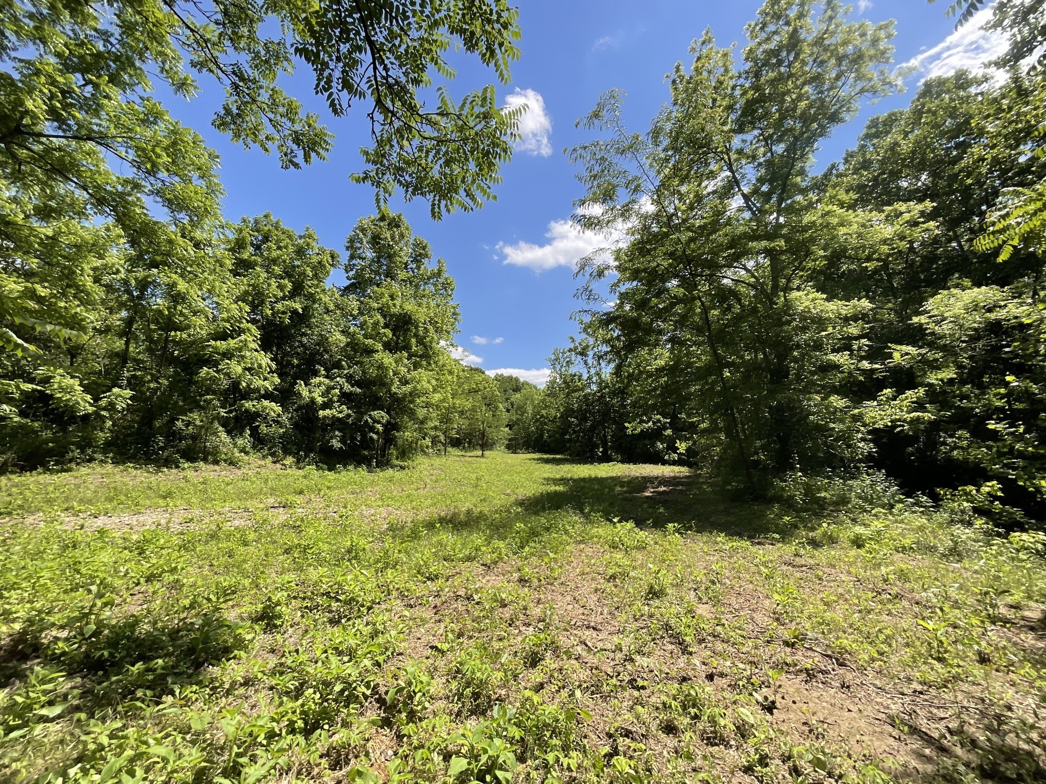 3712 Budds Creek Road Palmyra, TN 37142 - Photo 85 of 100