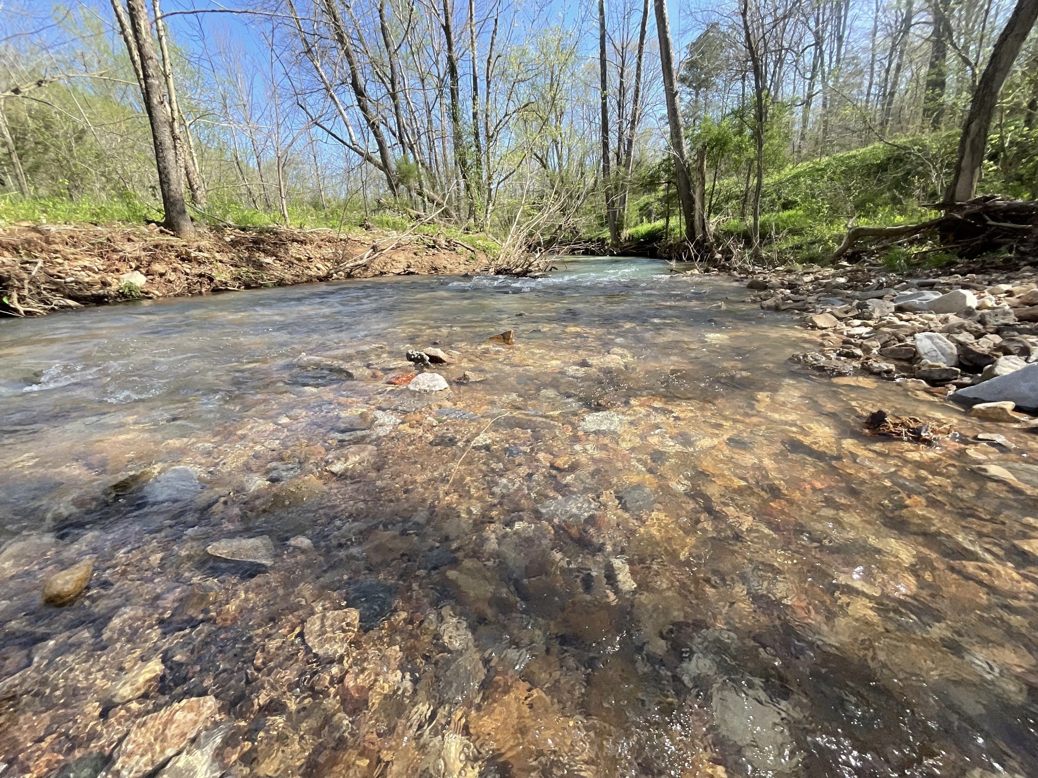 3712 Budds Creek Road Palmyra, TN 37142 - Photo 86 of 100