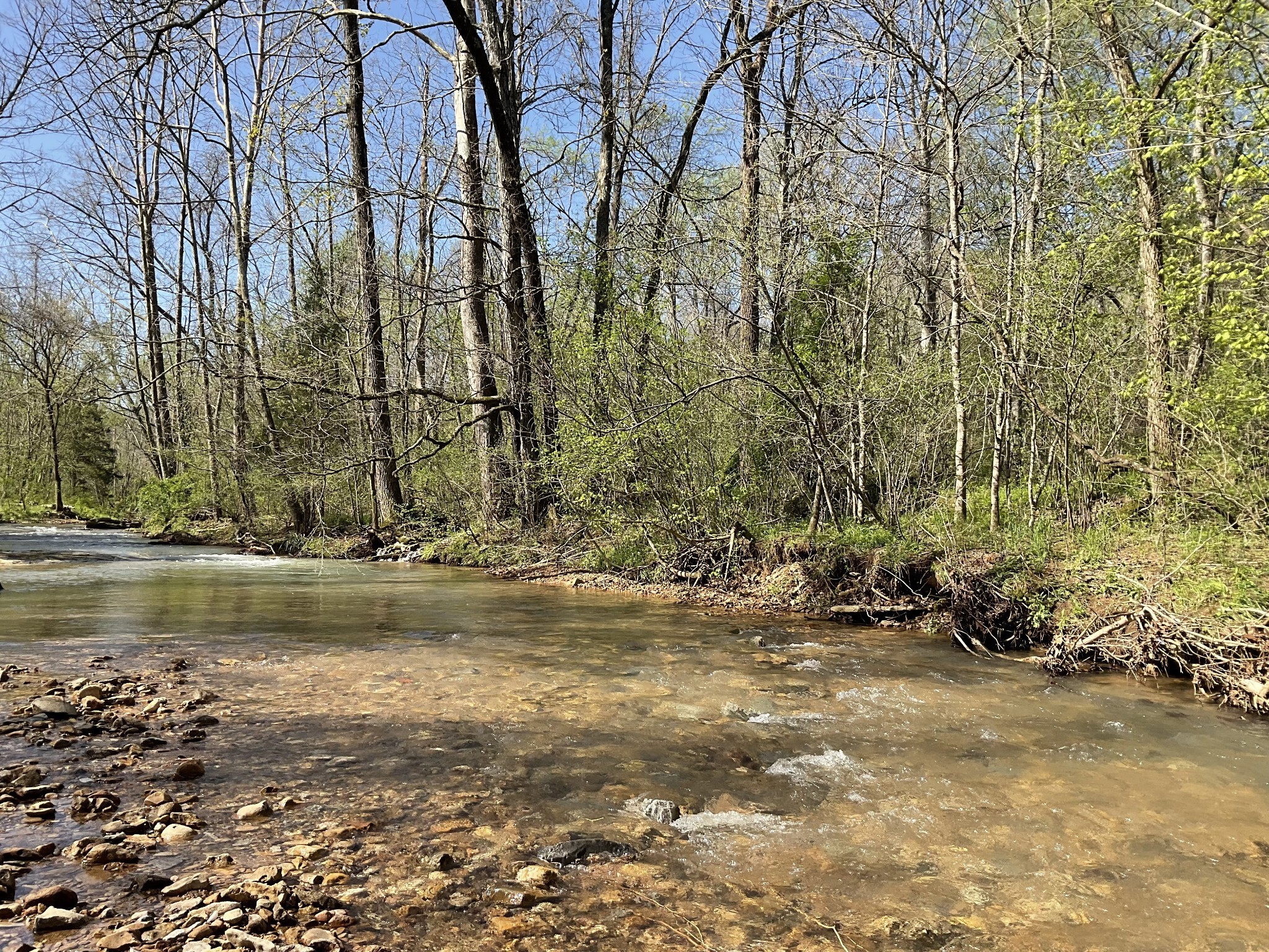 3712 Budds Creek Road Palmyra, TN 37142 - Photo 87 of 100