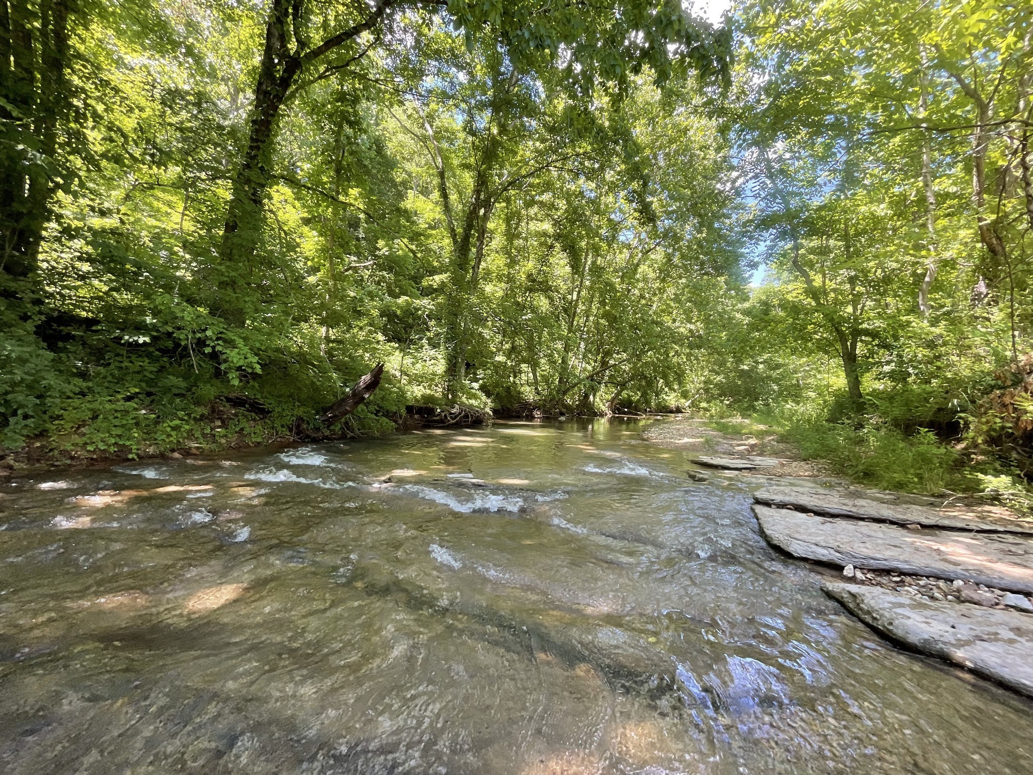 3712 Budds Creek Road Palmyra, TN 37142 - Photo 88 of 100