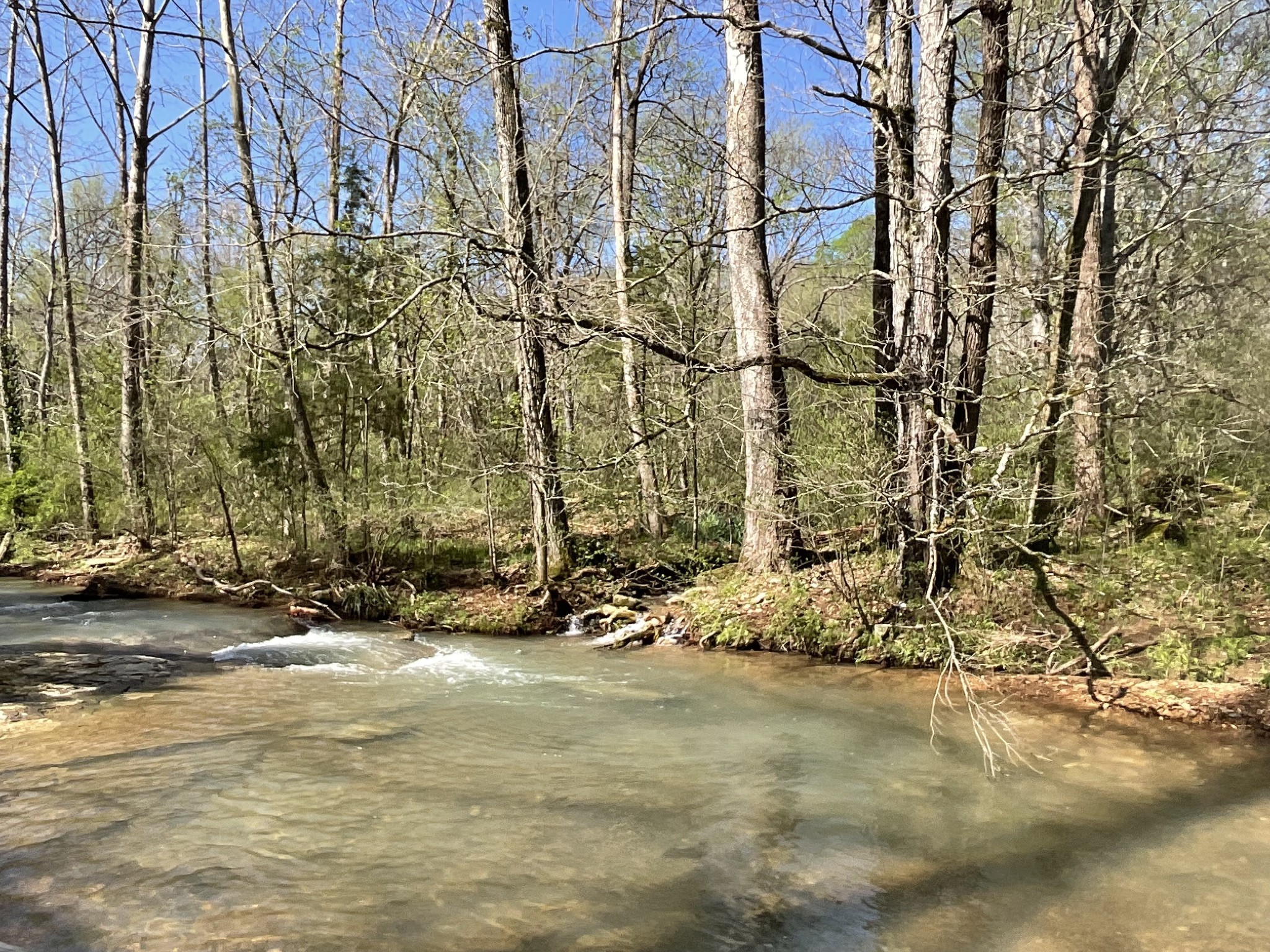 3712 Budds Creek Road Palmyra, TN 37142 - Photo 90 of 100