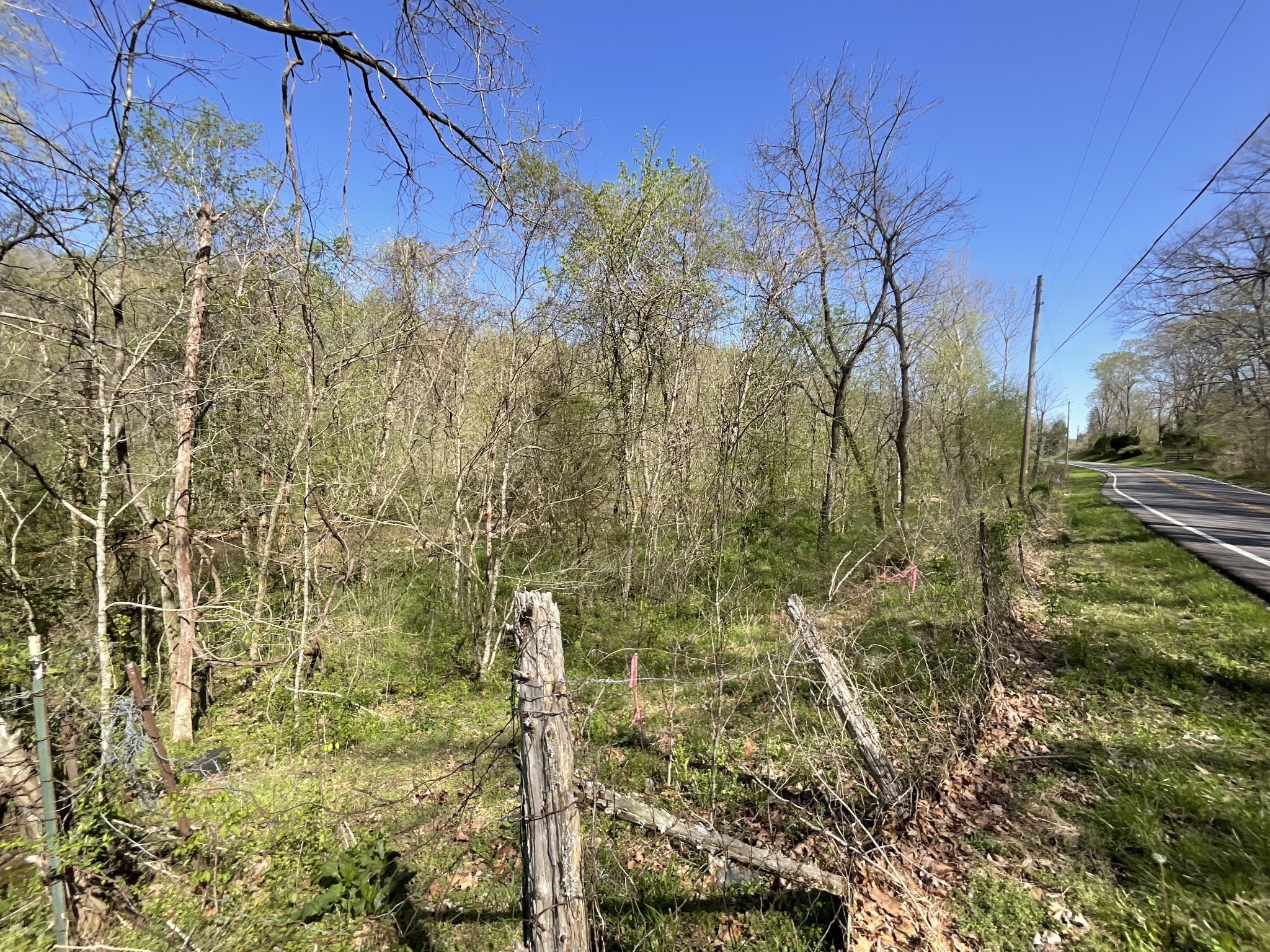 3712 Budds Creek Road Palmyra, TN 37142 - Photo 93 of 100