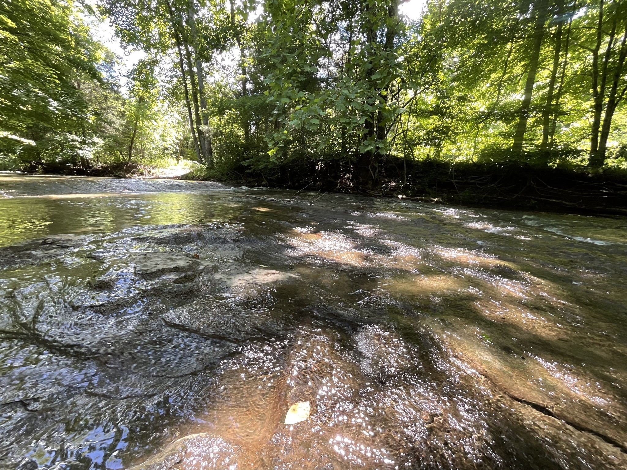3712 Budds Creek Road Palmyra, TN 37142 - Photo 96 of 100