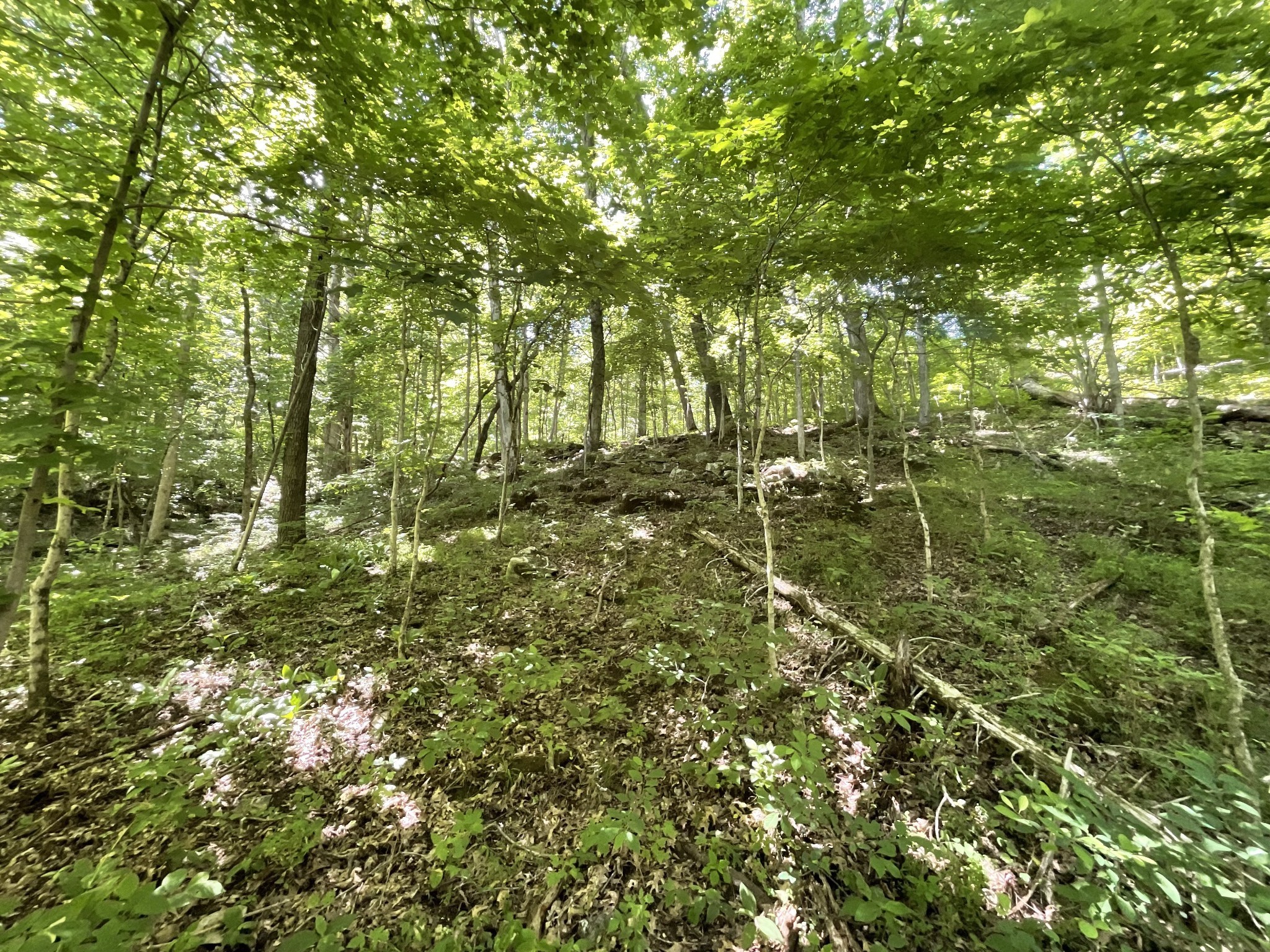 3712 Budds Creek Road Palmyra, TN 37142 - Photo 100 of 100
