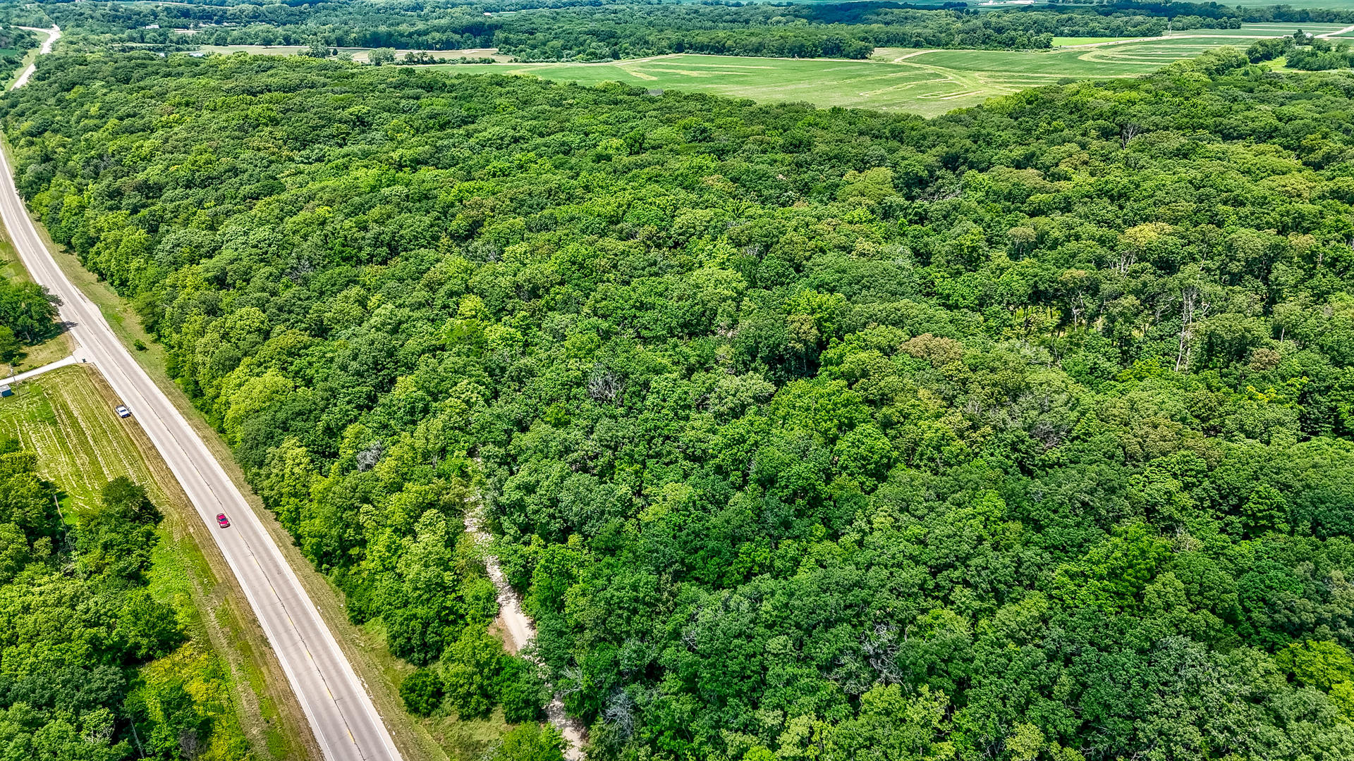 0 Us Route 6 Ottawa, IL 61350 - Photo 3 of 6 a view of a lush green forest with lots of trees