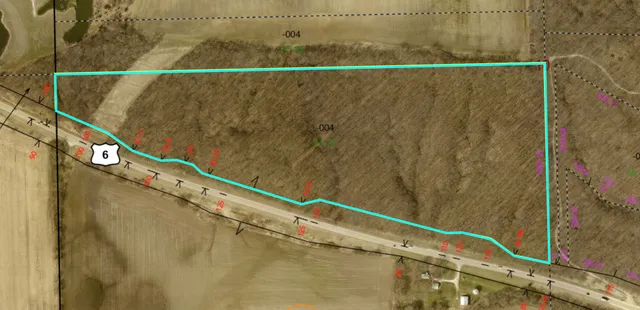 a view of a lush green field