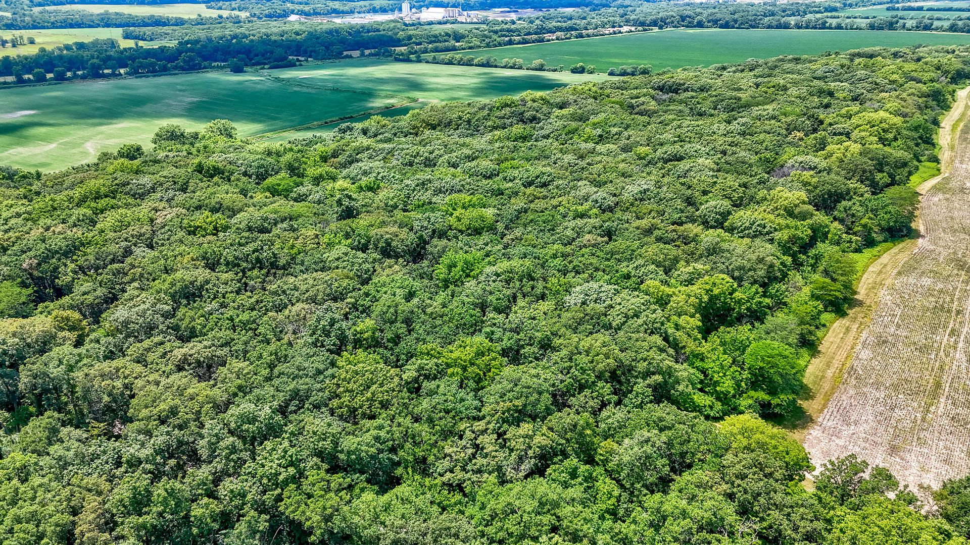 0 Us Route 6 Ottawa, IL 61350 - Photo 4 of 6 a view of a garden with a lake