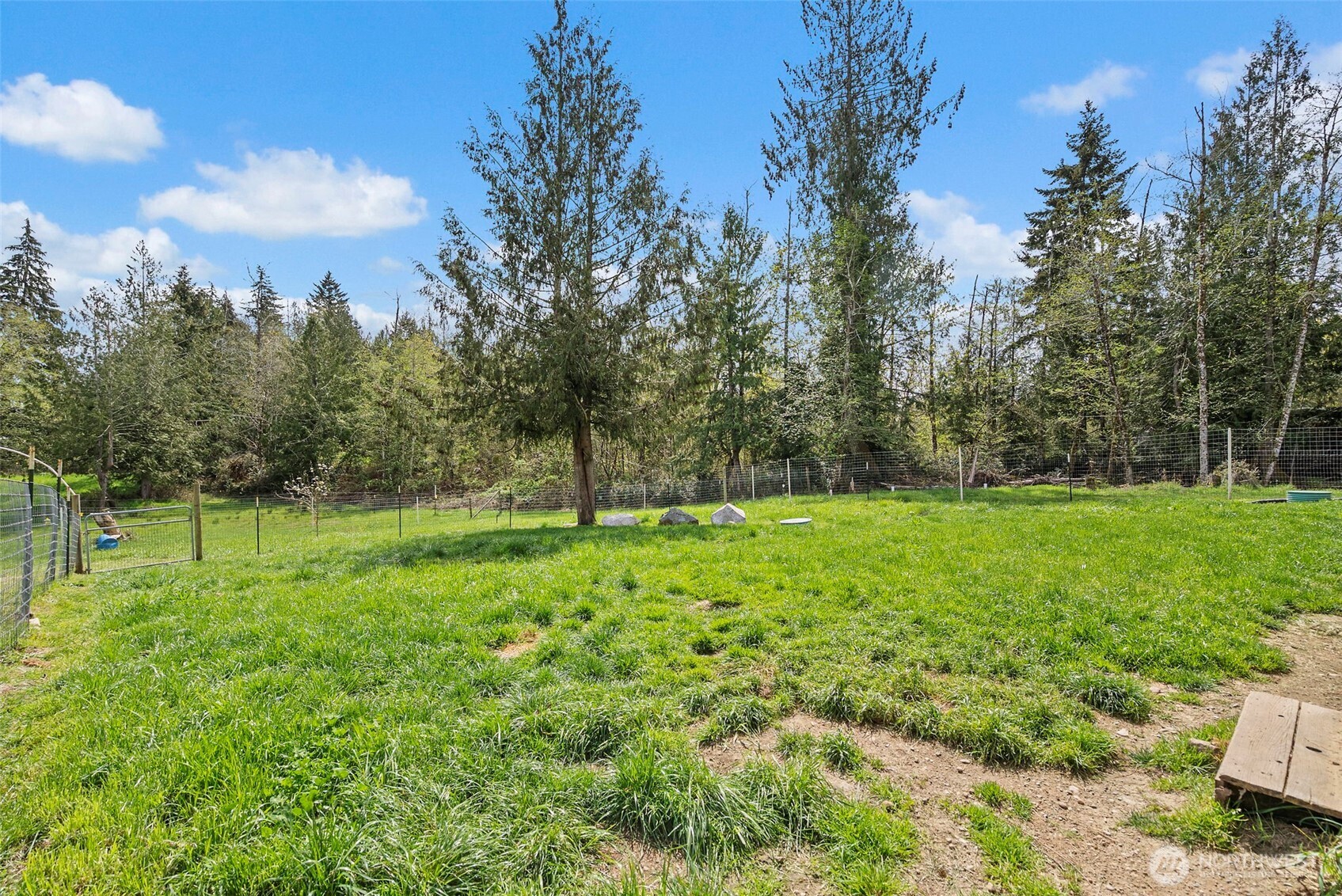 291 East Orchid Lane Grapeview, WA 98546 - Photo 17 of 37 a view of outdoor space and yard