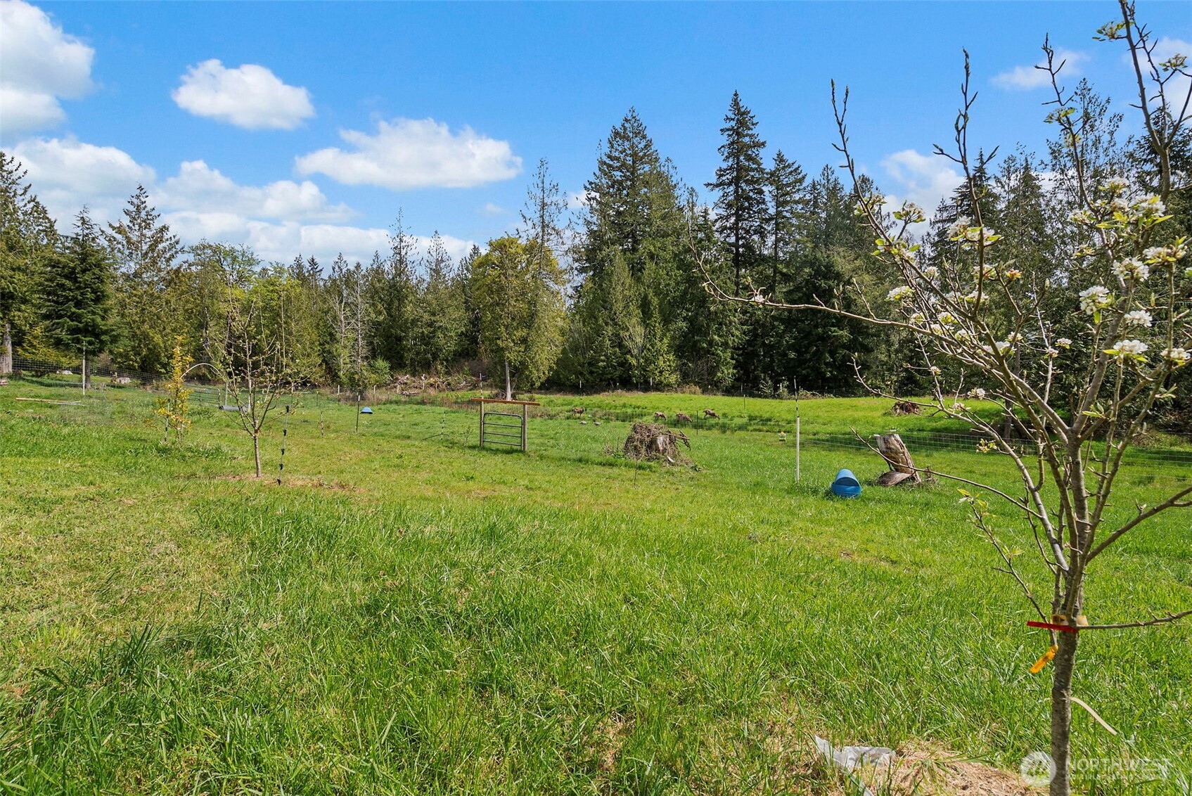 291 East Orchid Lane Grapeview, WA 98546 - Photo 20 of 37 a view of a park