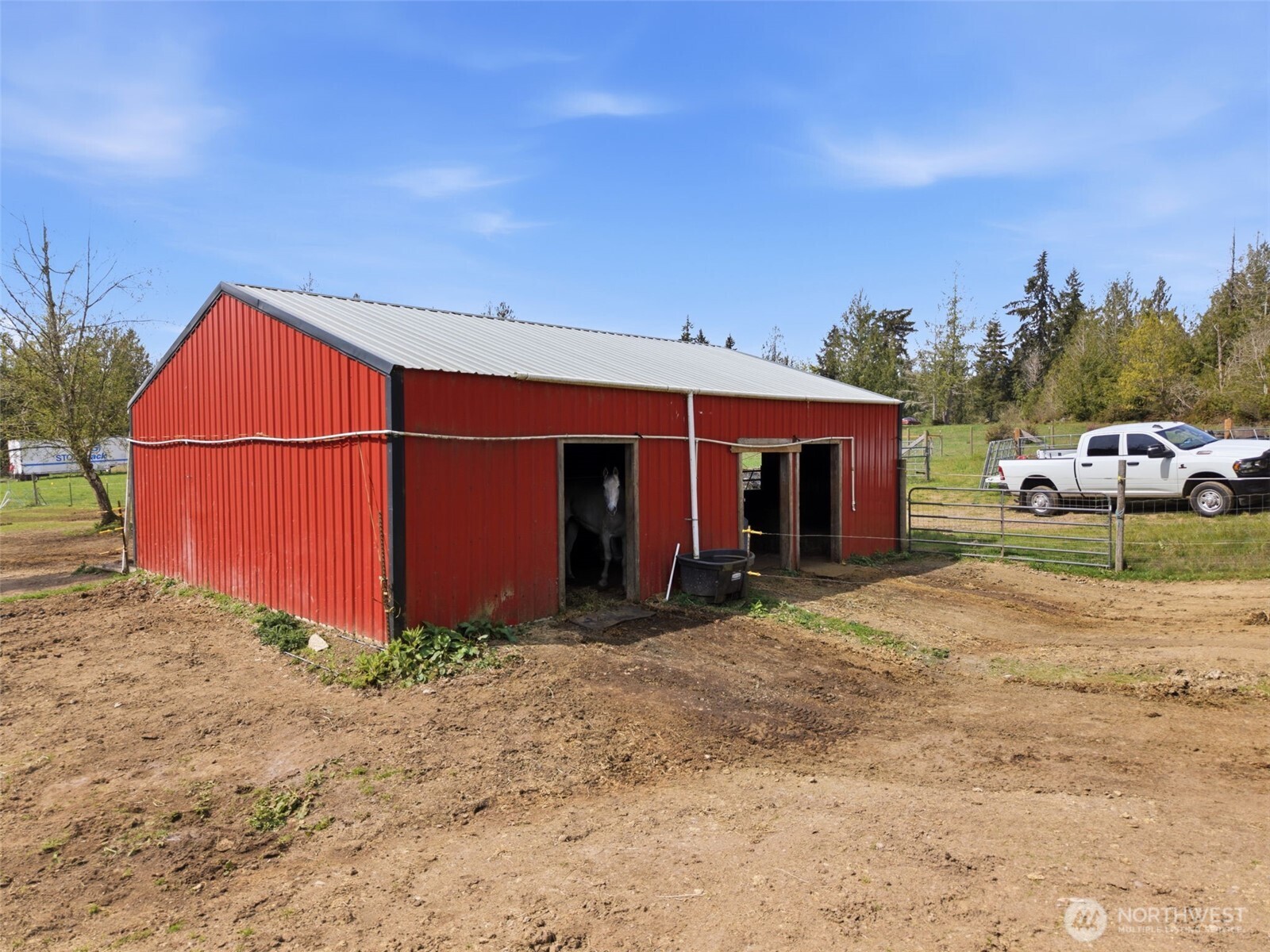 291 East Orchid Lane Grapeview, WA 98546 - Photo 26 of 37 a view of a house with backyard and trees in the background