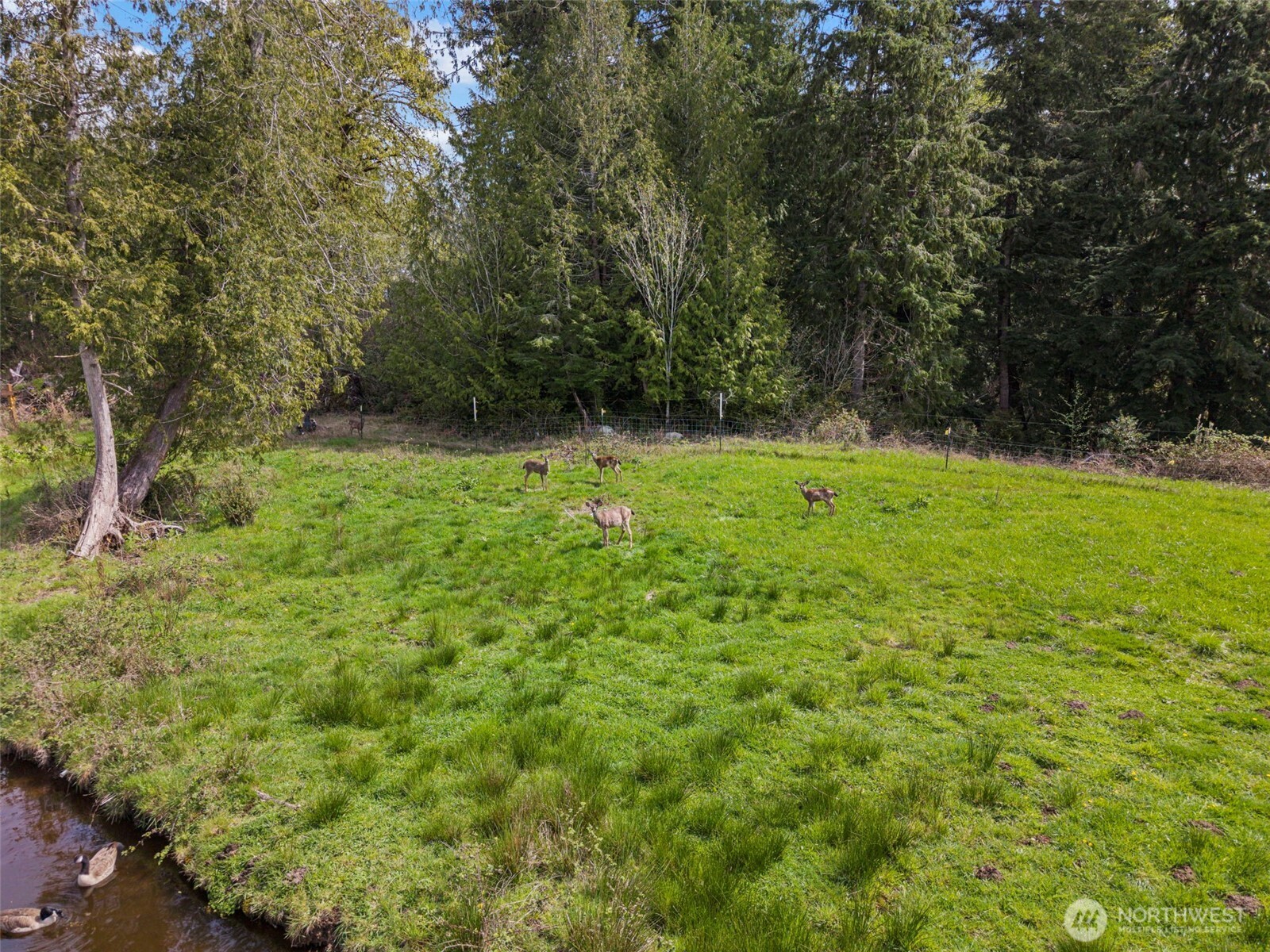 291 East Orchid Lane Grapeview, WA 98546 - Photo 28 of 37 a view of outdoor space and yard