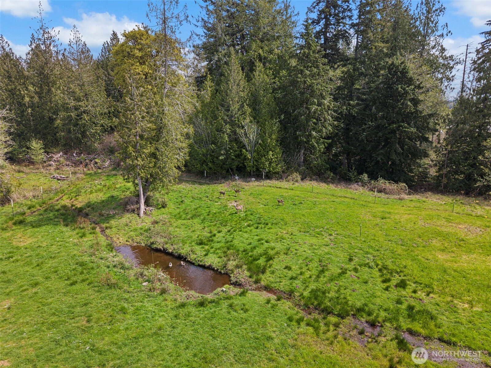 291 East Orchid Lane Grapeview, WA 98546 - Photo 29 of 37 a view of outdoor space with a yard