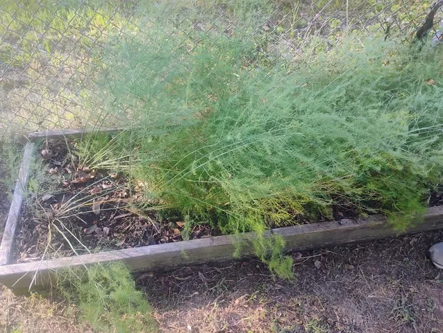 $143,200 | 510 Us Business Highway, Avery, TX 75554