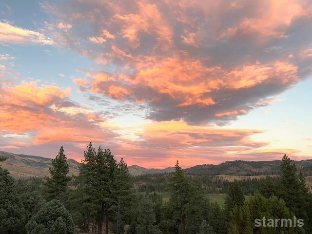 151 Silver Peak Road Markleeville, CA 96120 - Photo 2 of 33