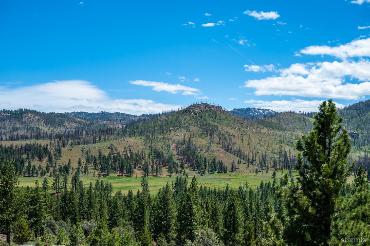 151 Silver Peak Road Markleeville, CA 96120 - Photo 30 of 33 View of the beautiful meadow.