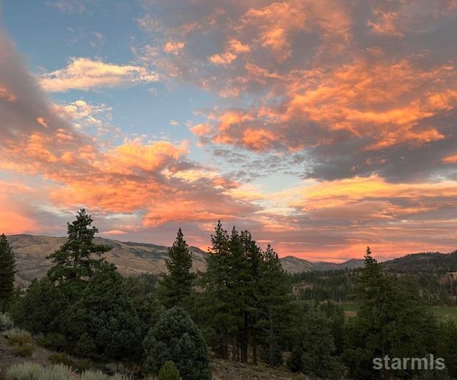 151 Silver Peak Road Markleeville, CA 96120 - Photo 33 of 33 Gorgeoys sunset views from the deck