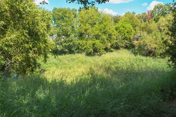 a view of a yard