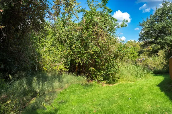 a view of a lush green forest