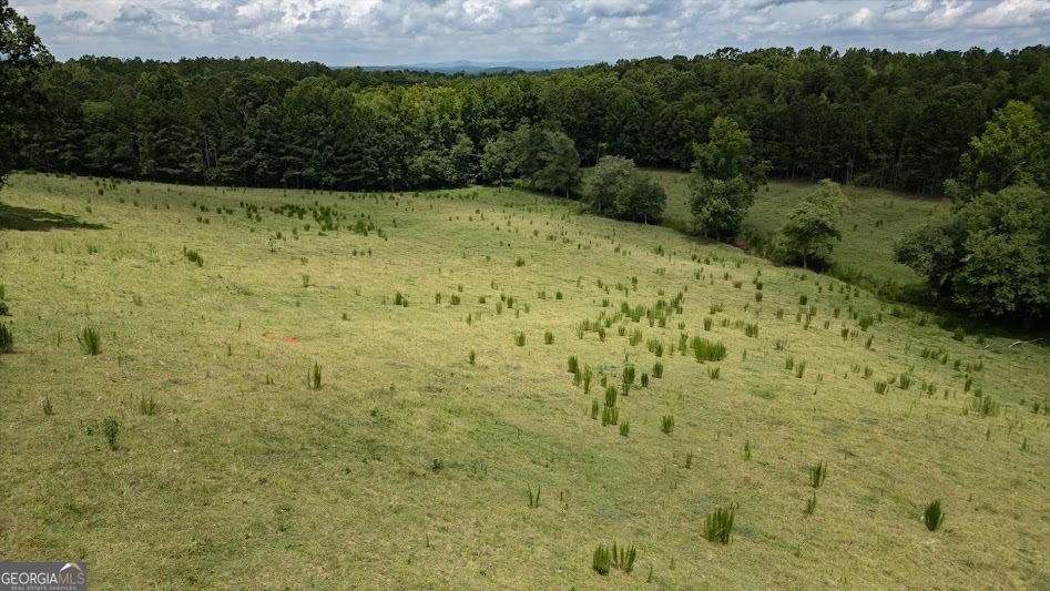 0 County Road 19 Heflin, AL 36264 - Photo 28 of 36