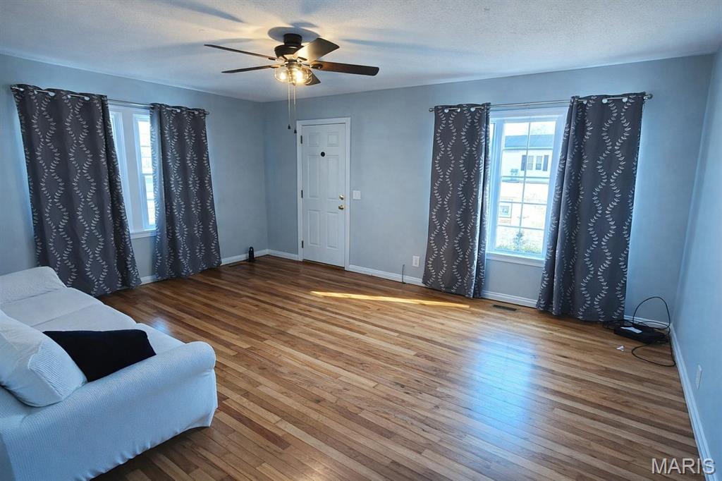 717 North 5th Street Elsberry, MO 63343 - Photo 2 of 9