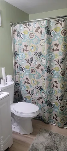 a white toilet sitting next to a shower curtain