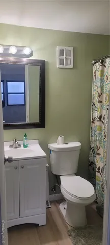 a bathroom with a toilet a sink and mirror
