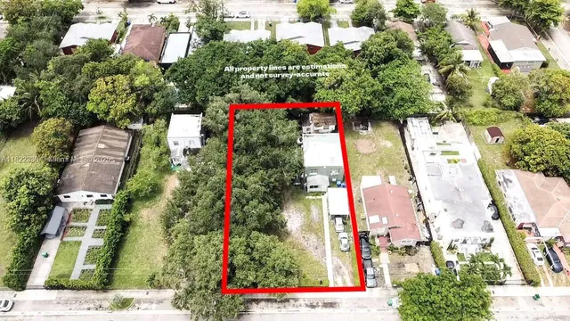 a view of city and flowers