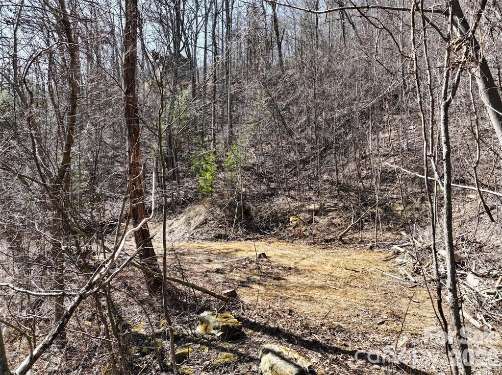 99999 Green Ridge Falls Road, Unit 17 Barnardsville, NC 28709 - Photo 11 of 15 a view of a yard covered with snow in the background