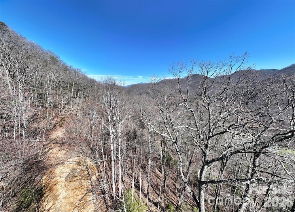 99999 Green Ridge Falls Road, Unit 17 Barnardsville, NC 28709 - Photo 12 of 15 a view of a dry yard with mountains in the background