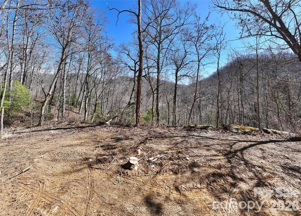 99999 Green Ridge Falls Road, Unit 17 Barnardsville, NC 28709 - Photo 2 of 15 a view of a backyard with large trees