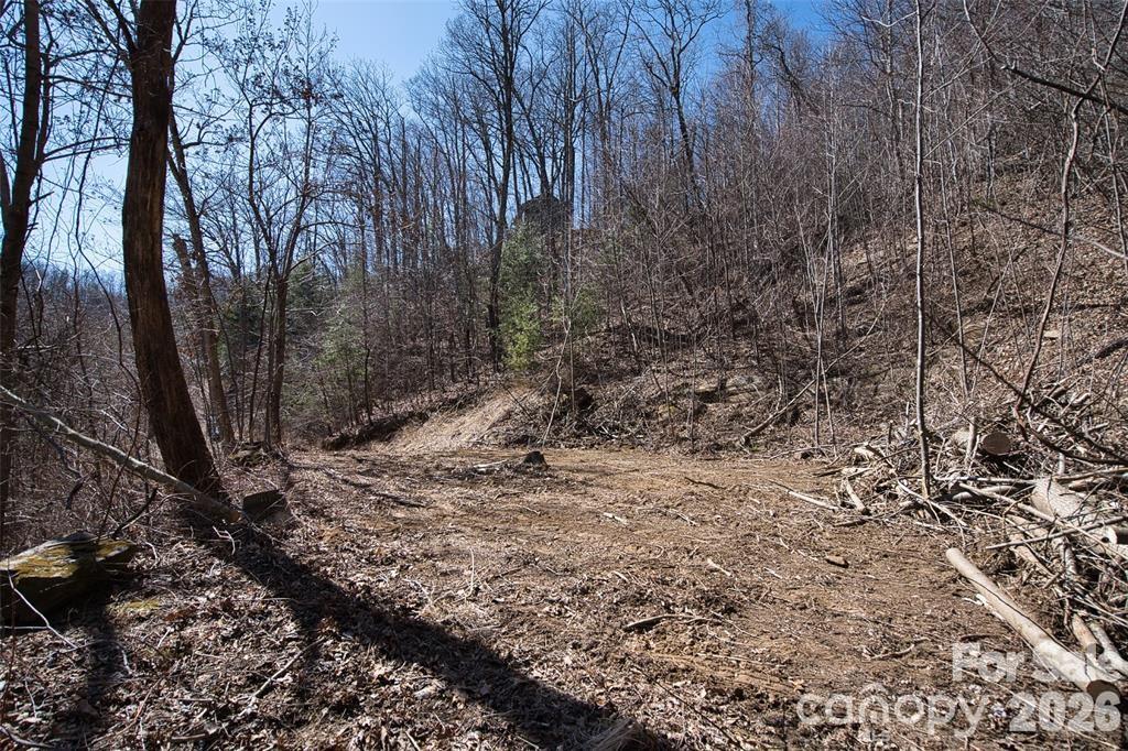 99999 Green Ridge Falls Road, Unit 17 Barnardsville, NC 28709 - Photo 3 of 15 a view of a yard with large trees