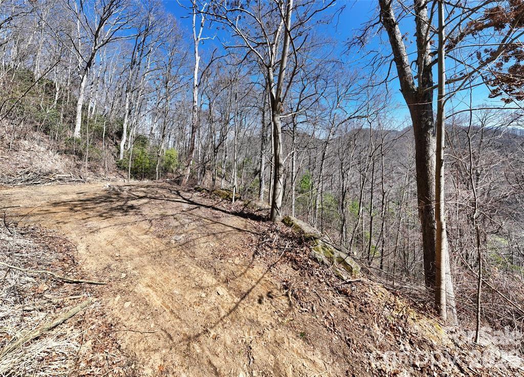 99999 Green Ridge Falls Road, Unit 17 Barnardsville, NC 28709 - Photo 4 of 15 a view of a yard with trees