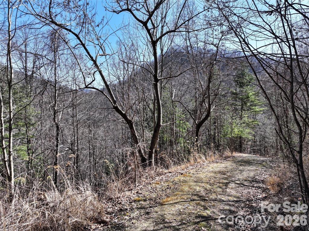 99999 Green Ridge Falls Road, Unit 17 Barnardsville, NC 28709 - Photo 6 of 15 a pathway of a yard