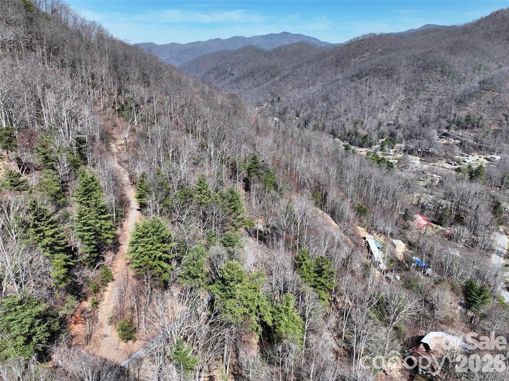 99999 Green Ridge Falls Road, Unit 17 Barnardsville, NC 28709 - Photo 8 of 15 a view of a forest with mountains in the background