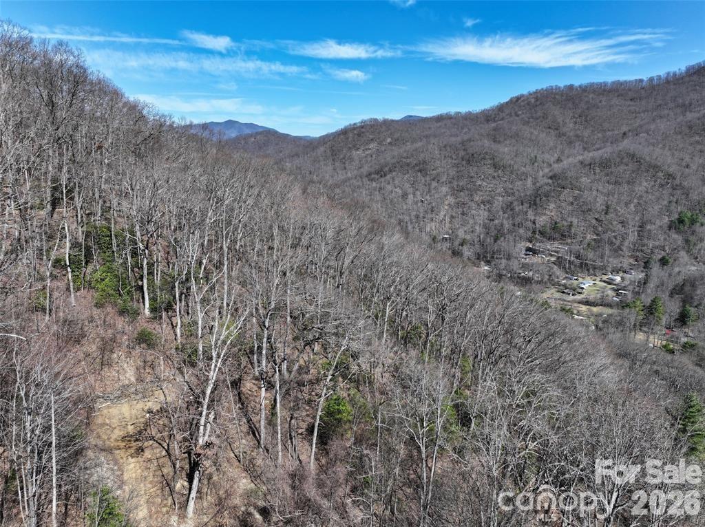 99999 Green Ridge Falls Road, Unit 17 Barnardsville, NC 28709 - Photo 10 of 15 a view of a dry yard with mountains in the background