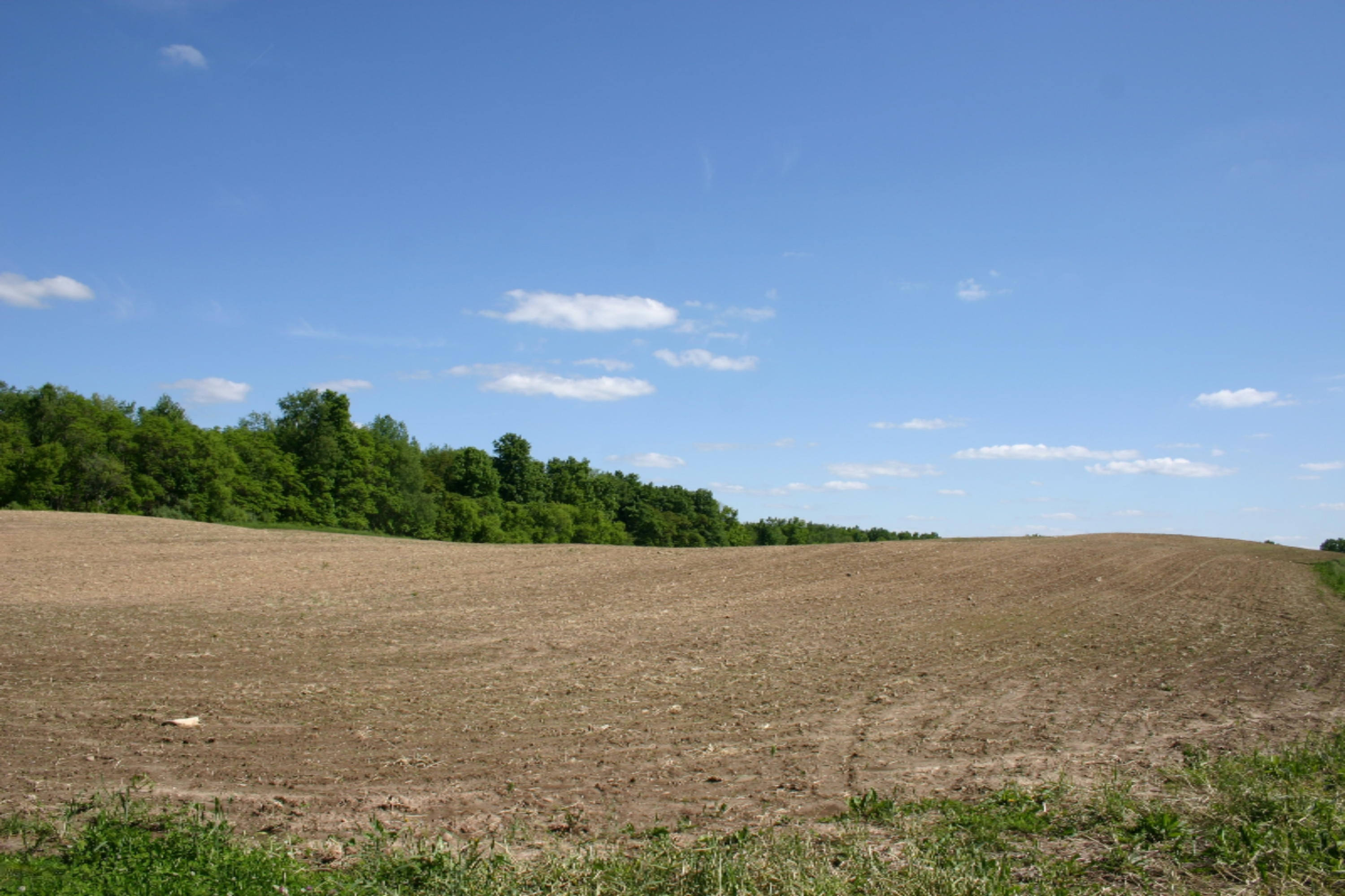West Cloverdale Road Delton, MI 49046 - Photo 1 of 12 IMG_4221