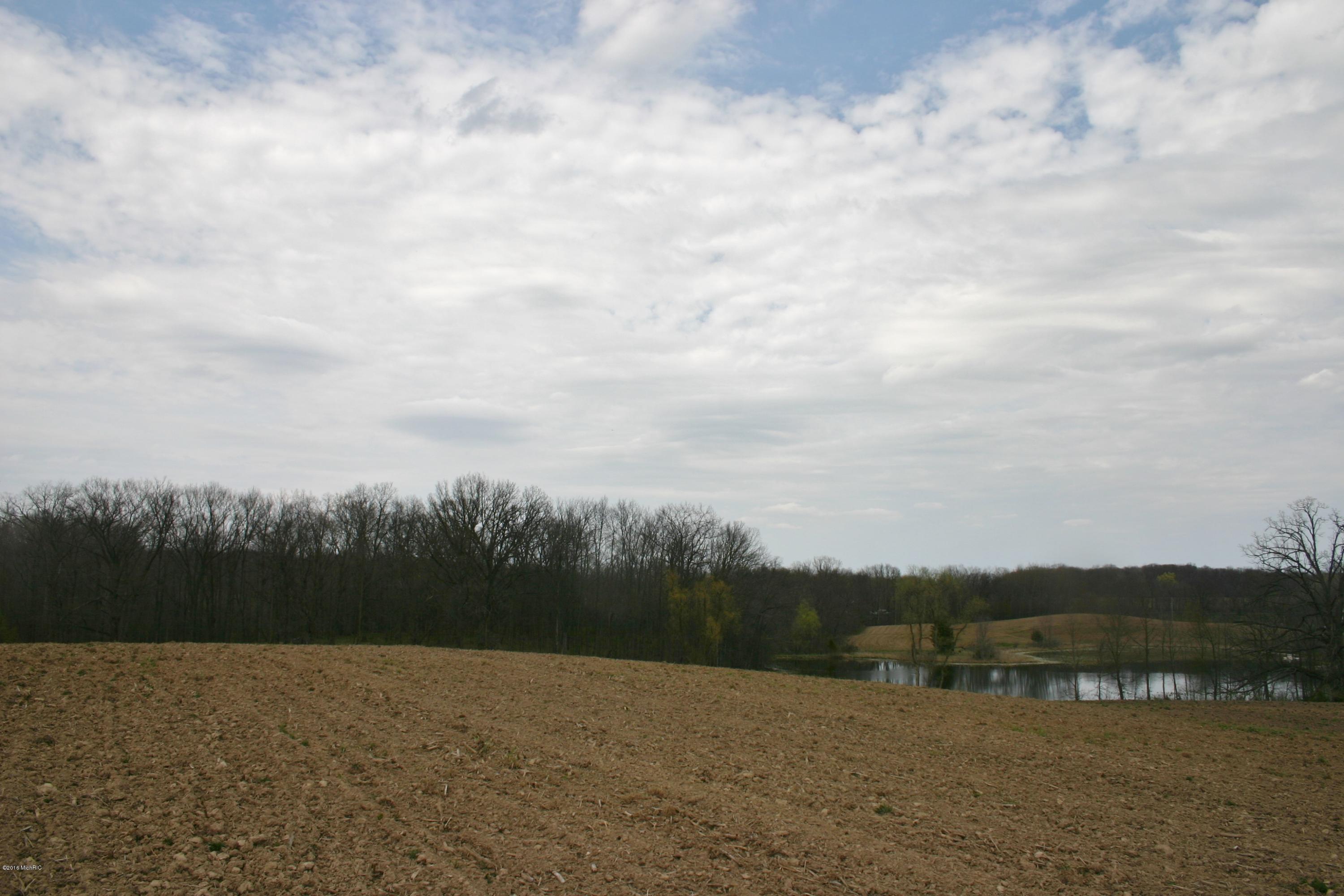 West Cloverdale Road Delton, MI 49046 - Photo 11 of 12 IMG_5091