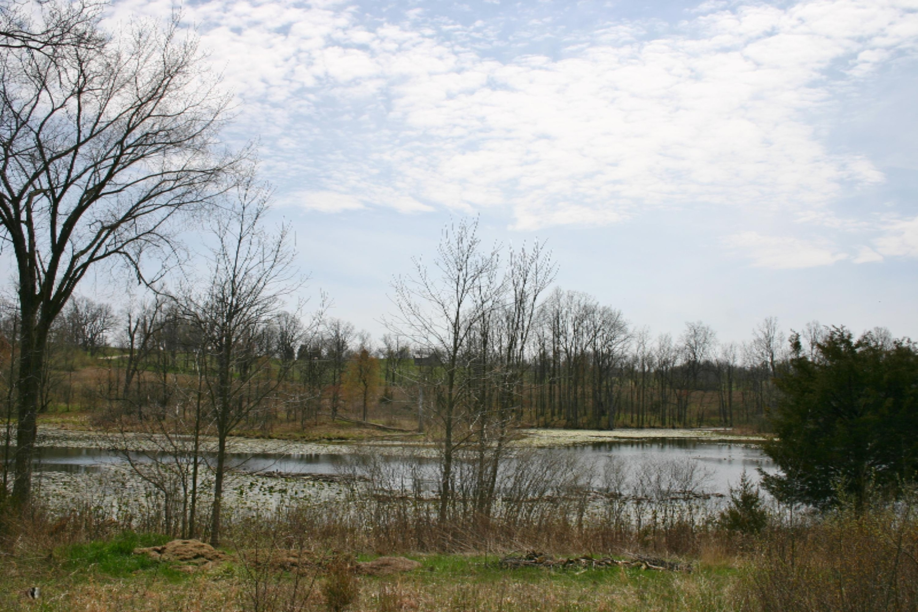 West Cloverdale Road Delton, MI 49046 - Photo 3 of 12 IMG_5073