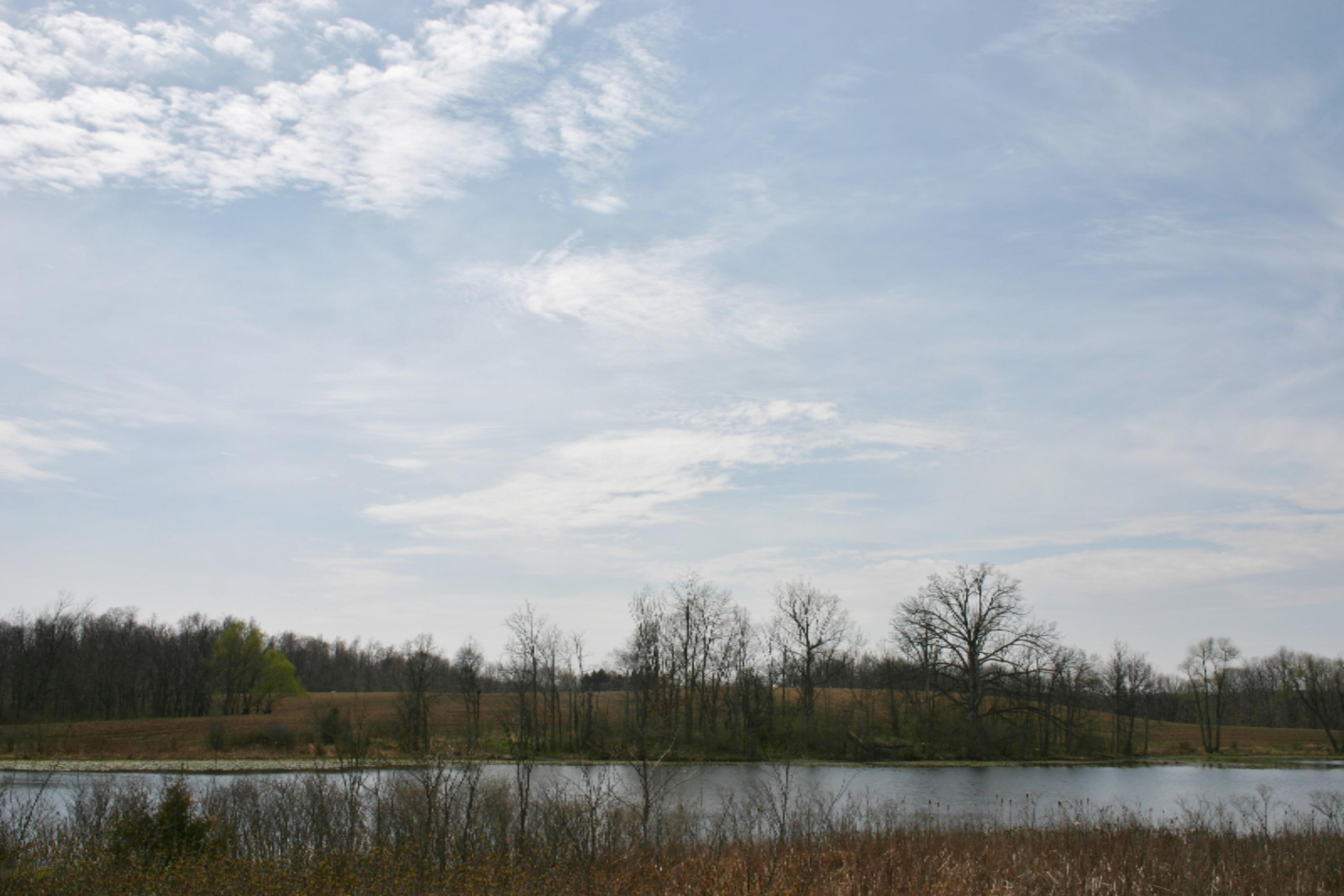 West Cloverdale Road Delton, MI 49046 - Photo 4 of 12 IMG_5075