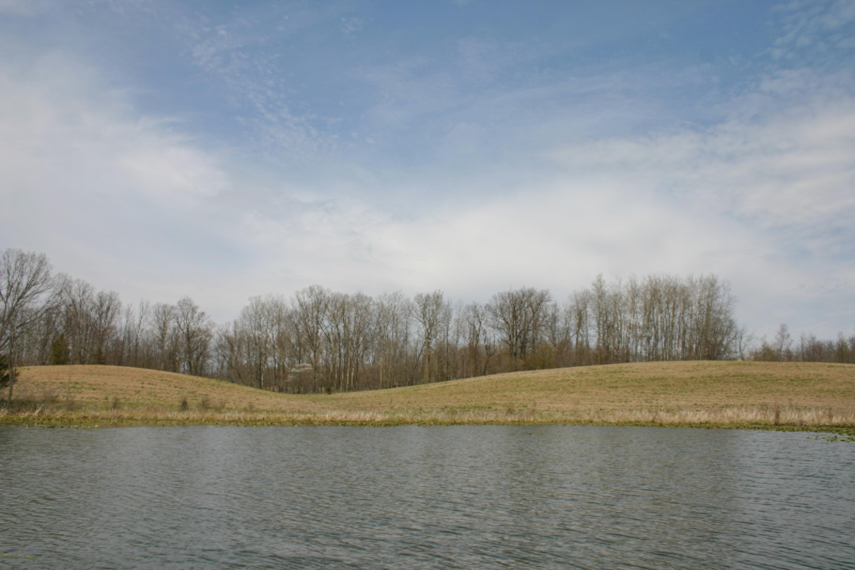West Cloverdale Road Delton, MI 49046 - Photo 5 of 12 IMG_5078