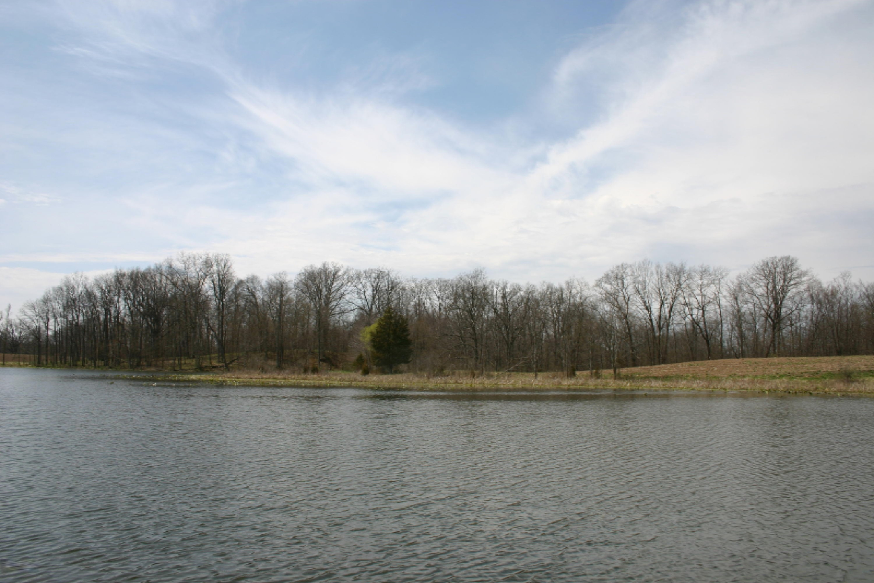 West Cloverdale Road Delton, MI 49046 - Photo 6 of 12 IMG_5079