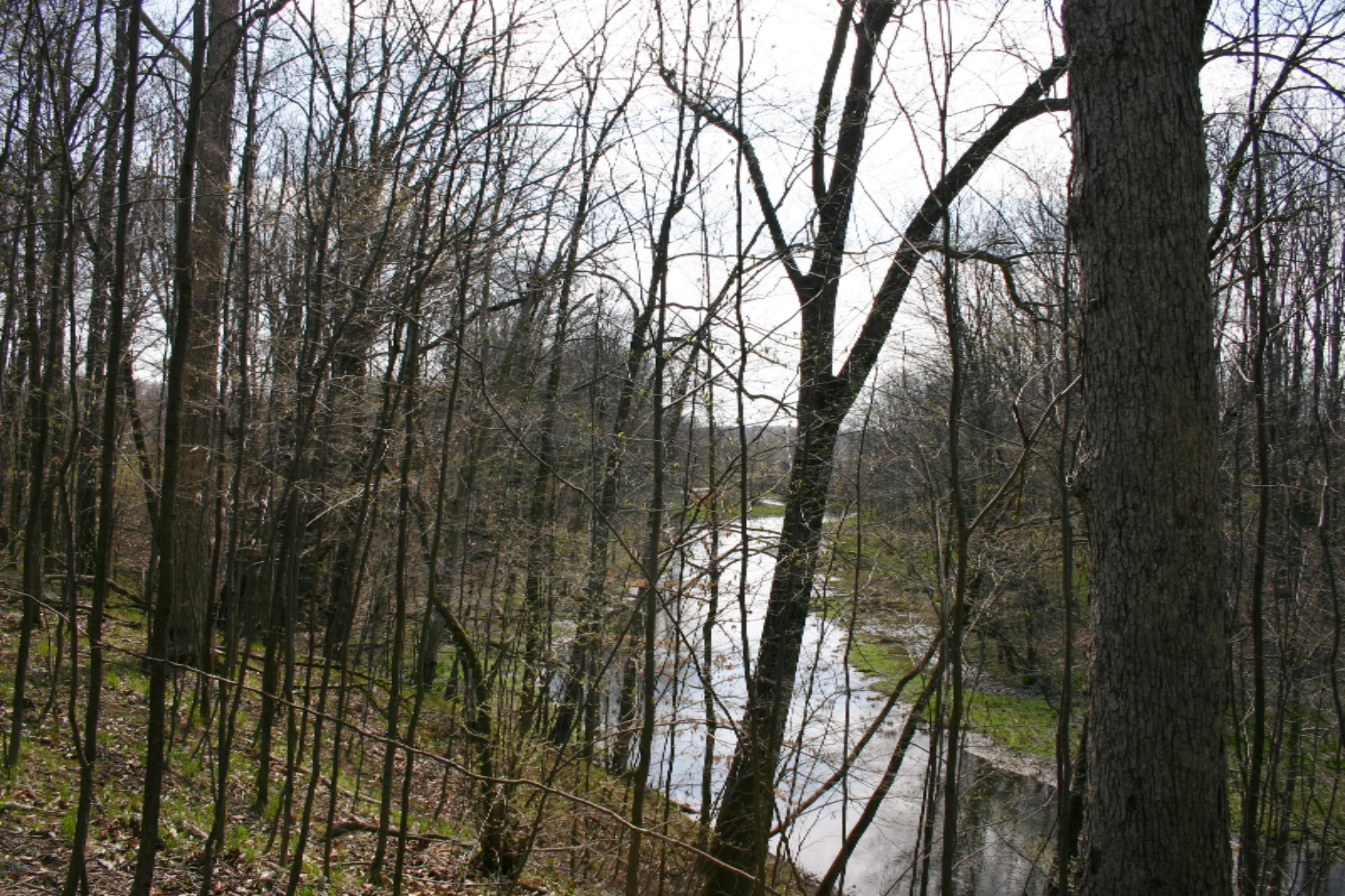 West Cloverdale Road Delton, MI 49046 - Photo 10 of 12 IMG_5089