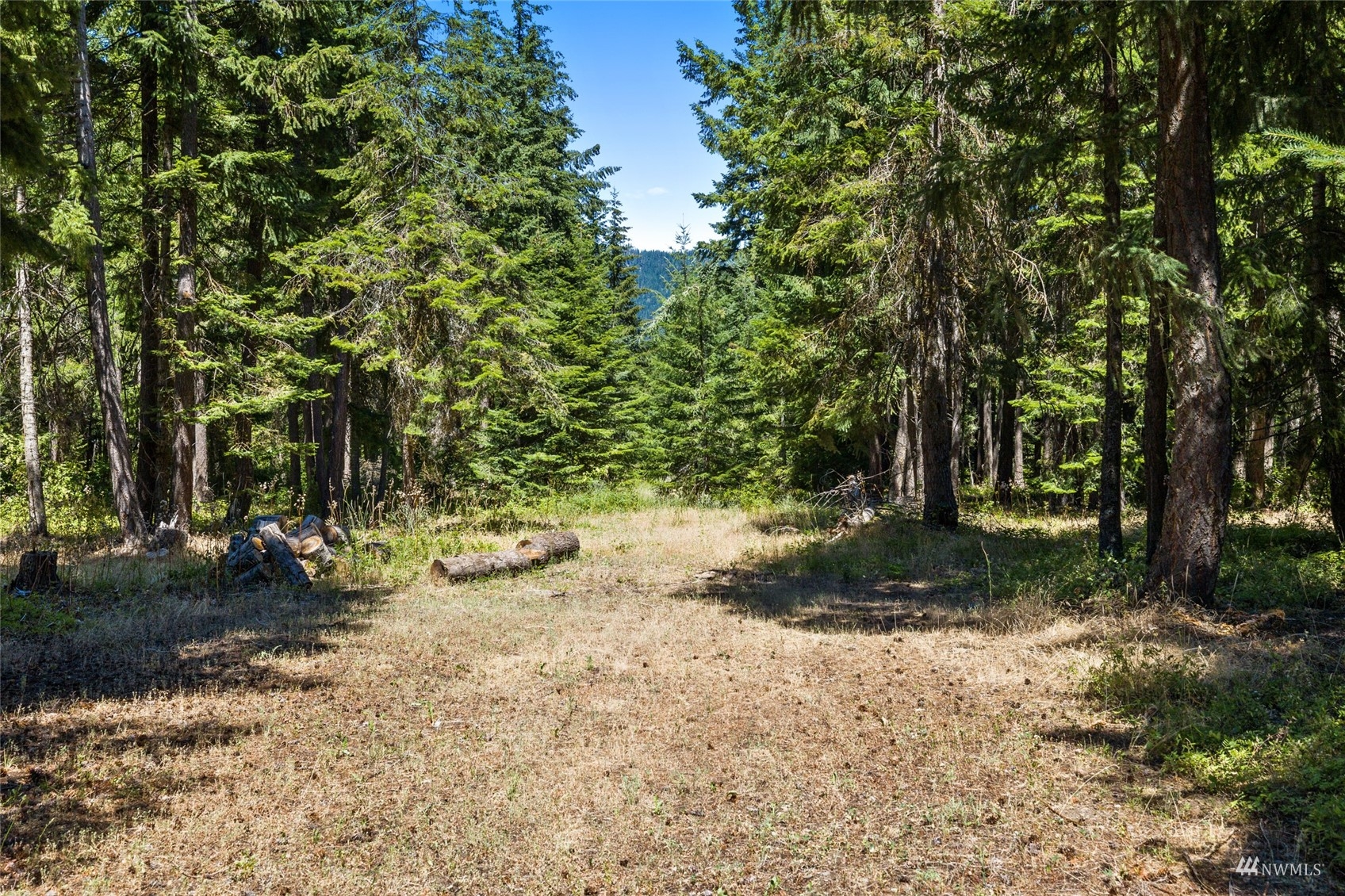 5711 Nelson Siding Road Cle Elum, WA 98922 - Photo 11 of 40 a view of a yard with plants and trees